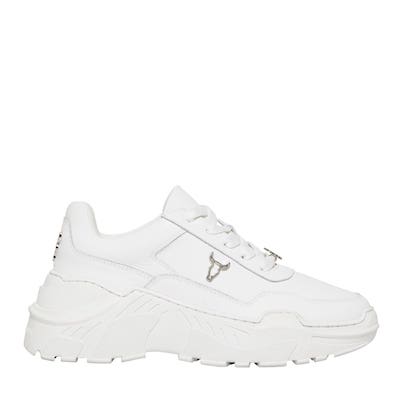 windsor smith carte white sneaker